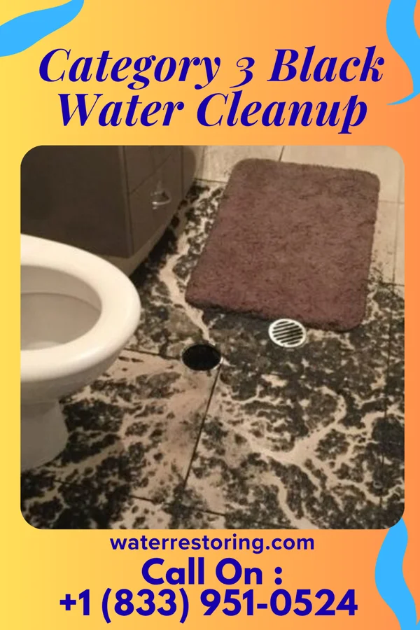 Category 3 Black Water Cleanup in Summerville, PA