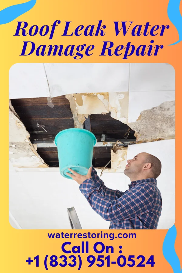 Roof Leak Water Damage Repair in Summerville, PA