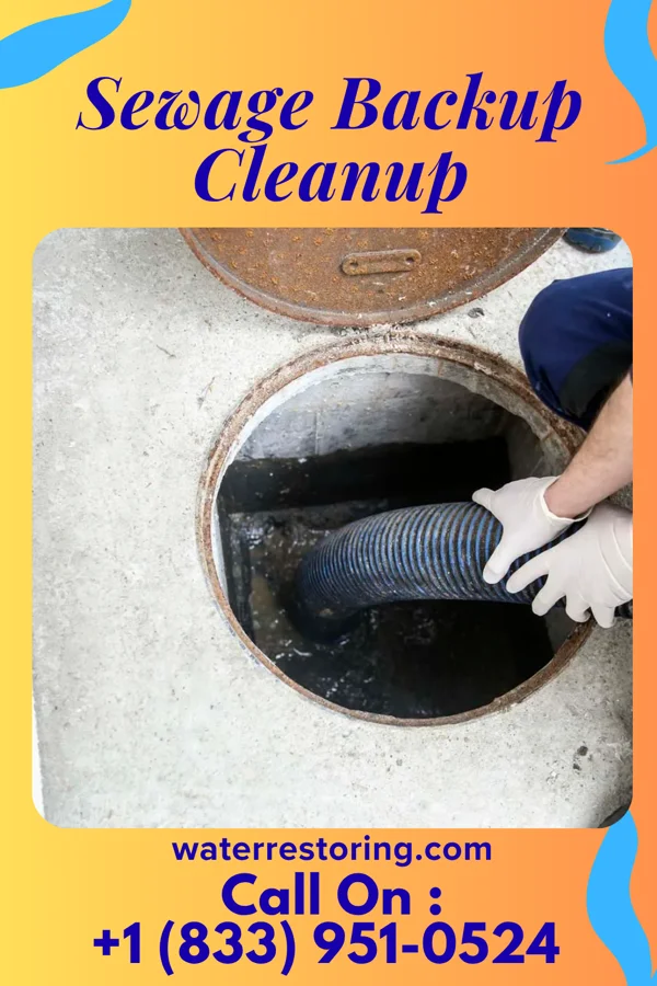 Sewage Backup Cleanup in Summerville, PA