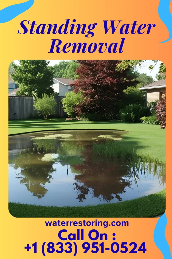 Standing Water Removal in Summerville, PA